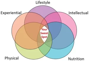 5 Dimensions of Wellness